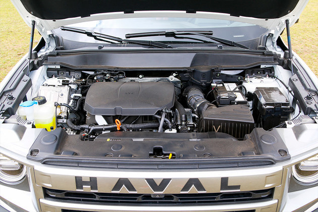 Appearance power upgrade/continuation of light off-road strength, test drive 2024 Haval big dog