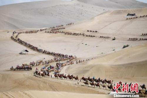 At the end of August, the Crescent Spring Scenic Area of Mingsha Mountain in Dunhuang presented a spectacular sight of camel teams like dragons. Yang yanmin