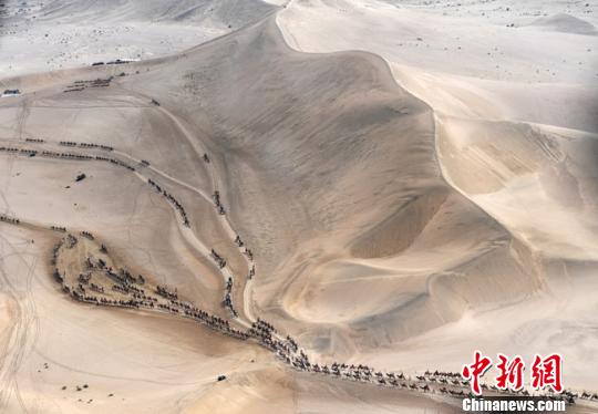 At the end of August, the Crescent Spring Scenic Area of Mingsha Mountain in Dunhuang presented a spectacular sight of camel teams like dragons. Yang yanmin