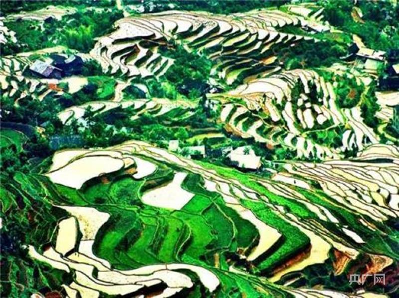 Beautiful natural scenery in Longhui County (Photo courtesy of Propaganda Department of Longhui County Committee)